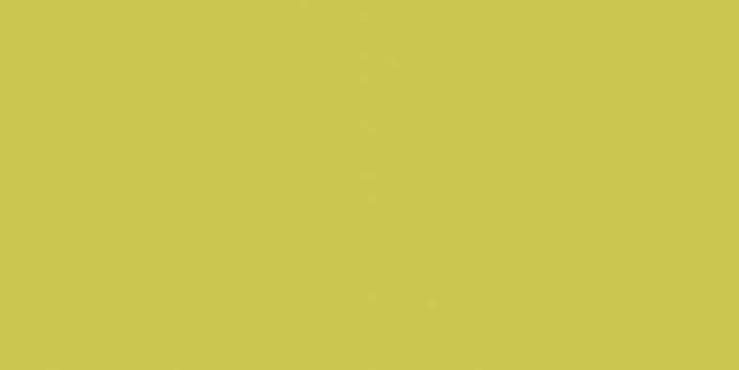 Color One, WAAMB454, obkládačka, 20 x 40 cm, žluto-zelená