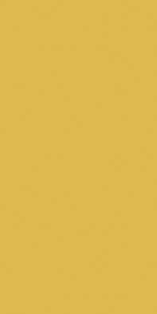 Color Two, GAAD8142, dlaždice, 10 x 20 cm, tmavě žlutá
