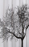 Sprchový závěs 180x200cm, polyester, černá/bílá, strom náhledová fotka produktu