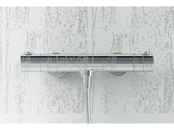 VSK2 Rosa 170 P rain