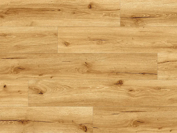 Experto LVT 55 Dub Terrassa 1036-2