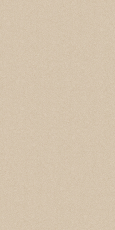 Monolight, dlažba, béžová 120x60